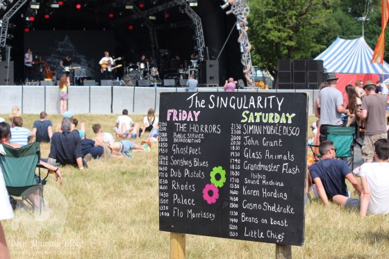 Blissfields-2015-Review-10