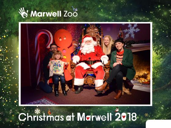 Christmas at Marwell