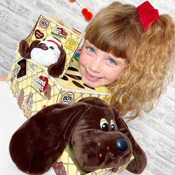 Pound Puppies and Dogs Trust